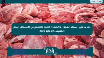 تعرف على أسعار العجول والخرفان الحية واللحوم في الأسواق اليوم الخميس 29 مايو 2025